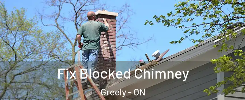  Fix Blocked Chimney Greely - ON