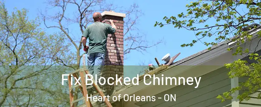  Fix Blocked Chimney Heart of Orleans - ON