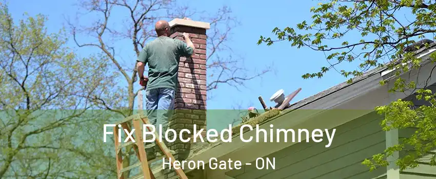  Fix Blocked Chimney Heron Gate - ON