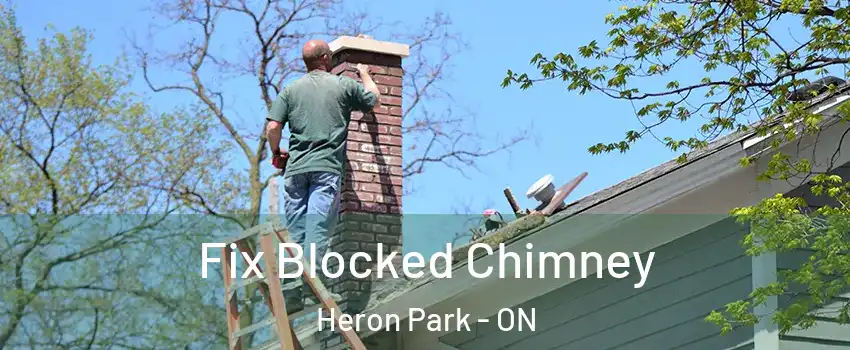  Fix Blocked Chimney Heron Park - ON