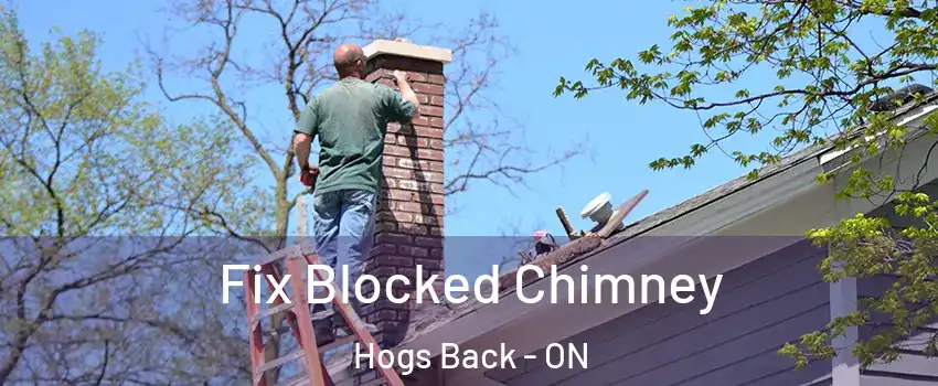  Fix Blocked Chimney Hogs Back - ON