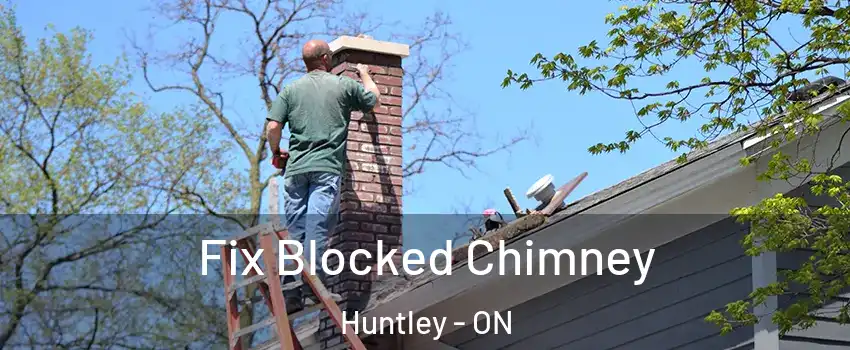  Fix Blocked Chimney Huntley - ON