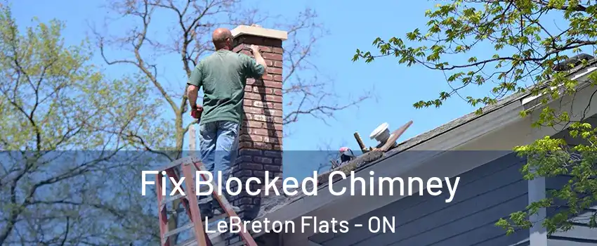  Fix Blocked Chimney LeBreton Flats - ON