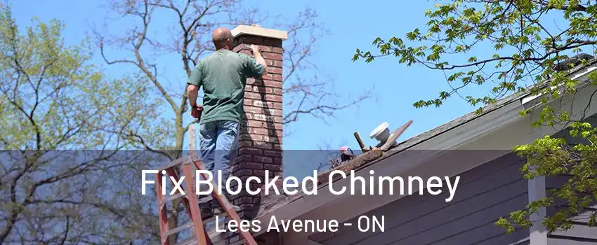  Fix Blocked Chimney Lees Avenue - ON