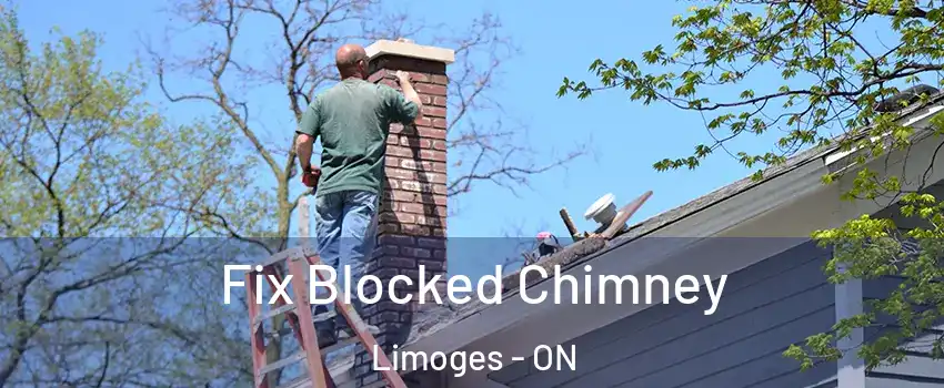  Fix Blocked Chimney Limoges - ON