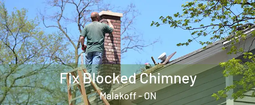  Fix Blocked Chimney Malakoff - ON