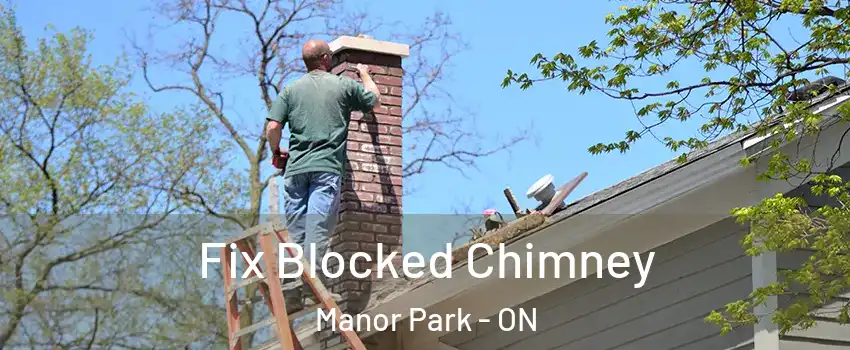  Fix Blocked Chimney Manor Park - ON