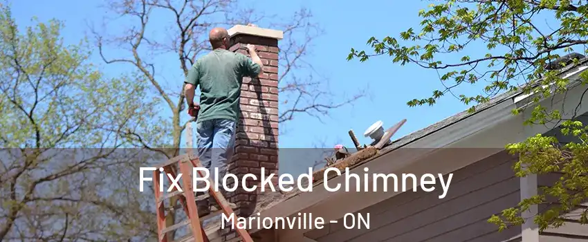  Fix Blocked Chimney Marionville - ON