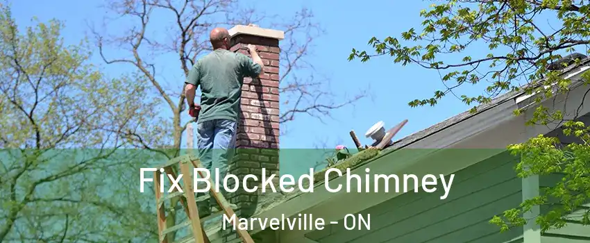  Fix Blocked Chimney Marvelville - ON