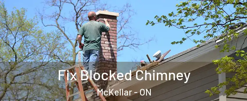  Fix Blocked Chimney McKellar - ON