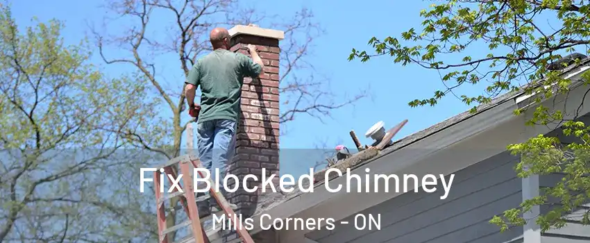  Fix Blocked Chimney Mills Corners - ON