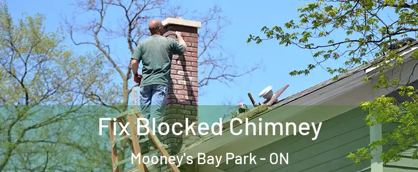  Fix Blocked Chimney Mooney's Bay Park - ON