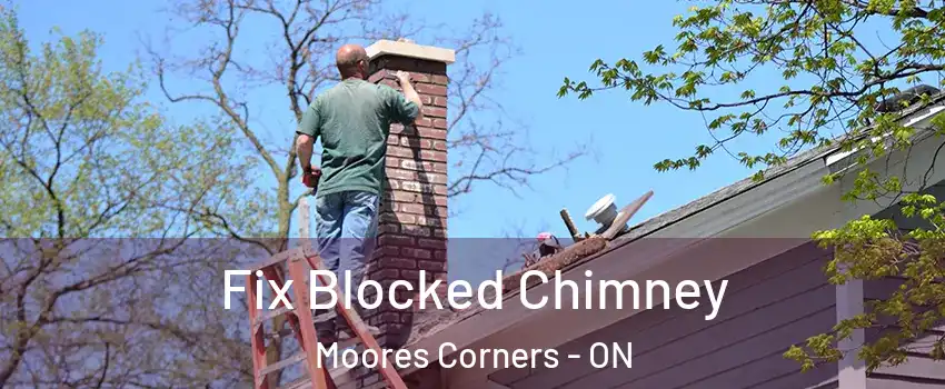  Fix Blocked Chimney Moores Corners - ON