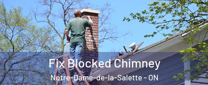  Fix Blocked Chimney Notre-Dame-de-la-Salette - ON