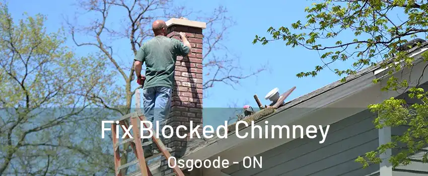  Fix Blocked Chimney Osgoode - ON