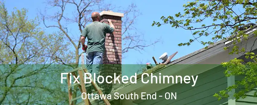  Fix Blocked Chimney Ottawa South End - ON