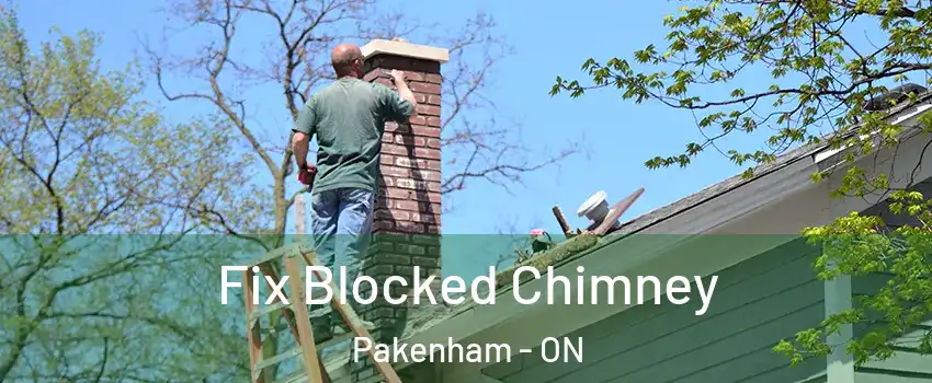  Fix Blocked Chimney Pakenham - ON