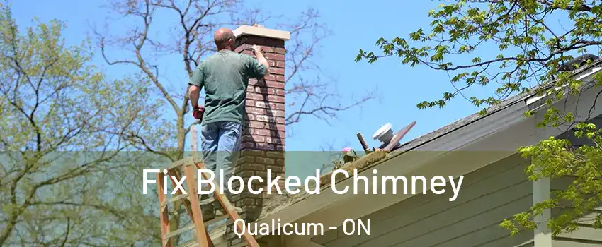  Fix Blocked Chimney Qualicum - ON