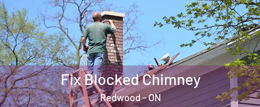  Fix Blocked Chimney Redwood - ON