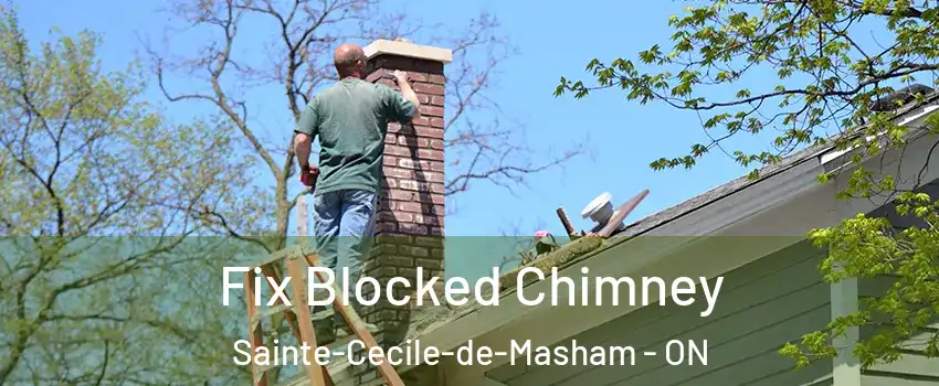  Fix Blocked Chimney Sainte-Cecile-de-Masham - ON