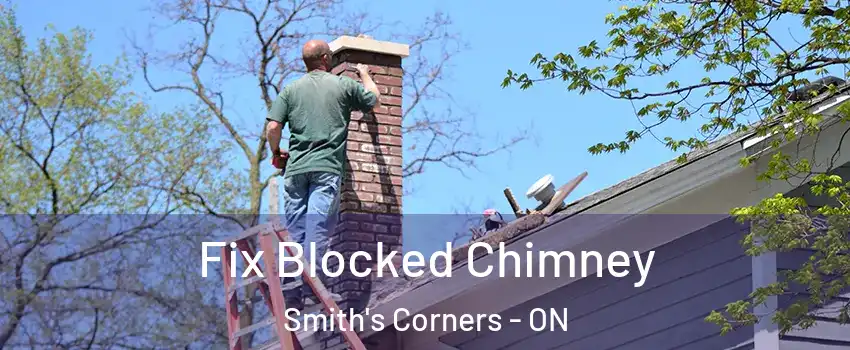  Fix Blocked Chimney Smith's Corners - ON