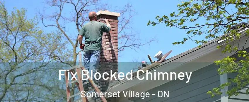  Fix Blocked Chimney Somerset Village - ON