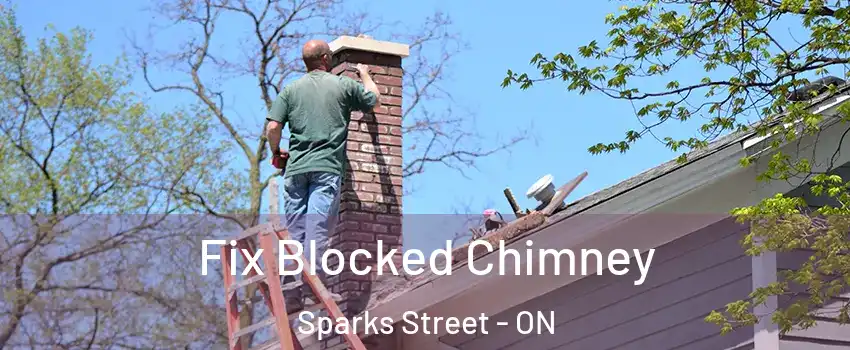  Fix Blocked Chimney Sparks Street - ON