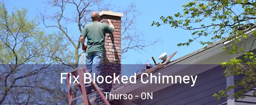  Fix Blocked Chimney Thurso - ON