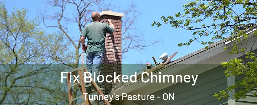  Fix Blocked Chimney Tunney's Pasture - ON