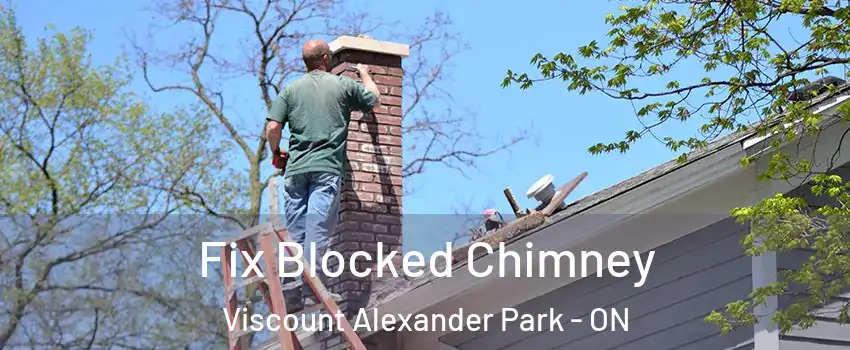  Fix Blocked Chimney Viscount Alexander Park - ON