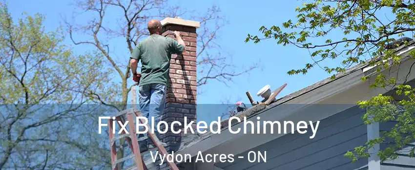  Fix Blocked Chimney Vydon Acres - ON