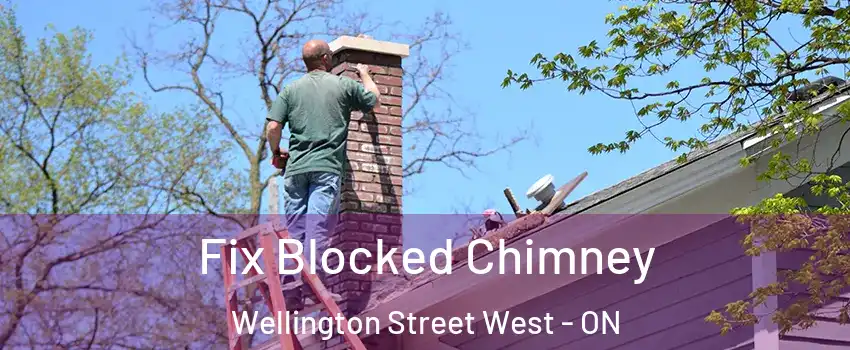  Fix Blocked Chimney Wellington Street West - ON