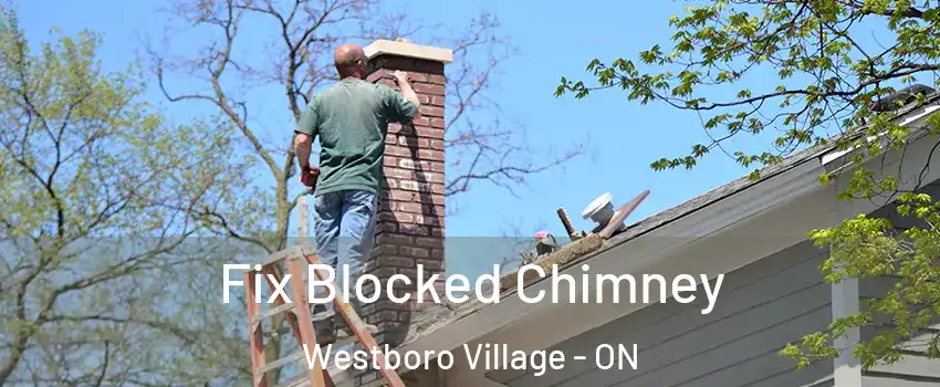  Fix Blocked Chimney Westboro Village - ON