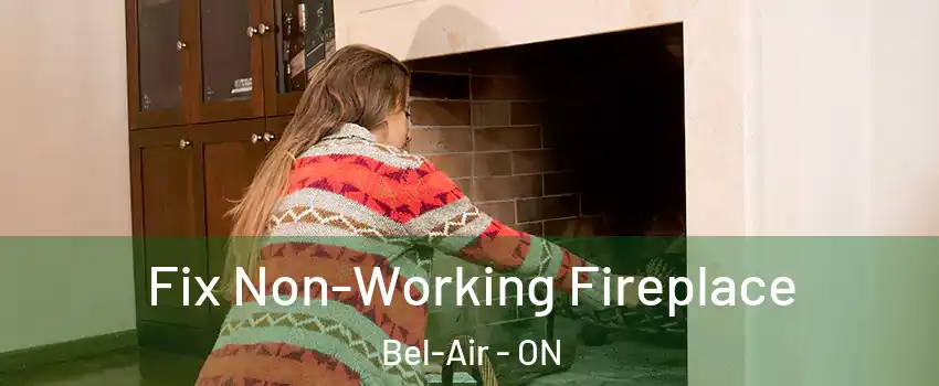  Fix Non-Working Fireplace Bel-Air - ON