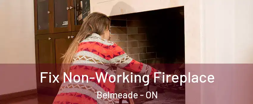  Fix Non-Working Fireplace Belmeade - ON