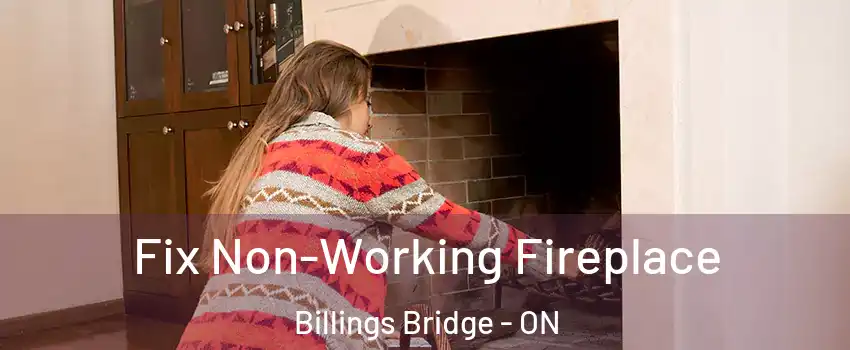  Fix Non-Working Fireplace Billings Bridge - ON