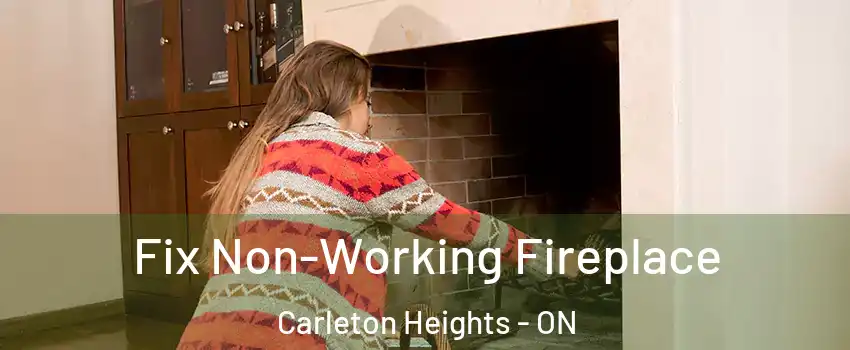  Fix Non-Working Fireplace Carleton Heights - ON