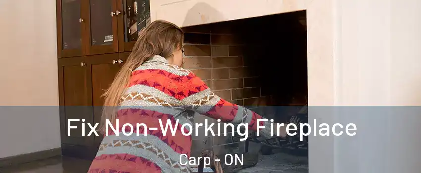  Fix Non-Working Fireplace Carp - ON