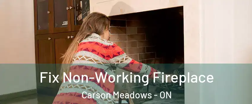  Fix Non-Working Fireplace Carson Meadows - ON