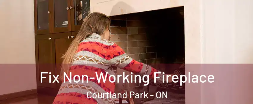  Fix Non-Working Fireplace Courtland Park - ON