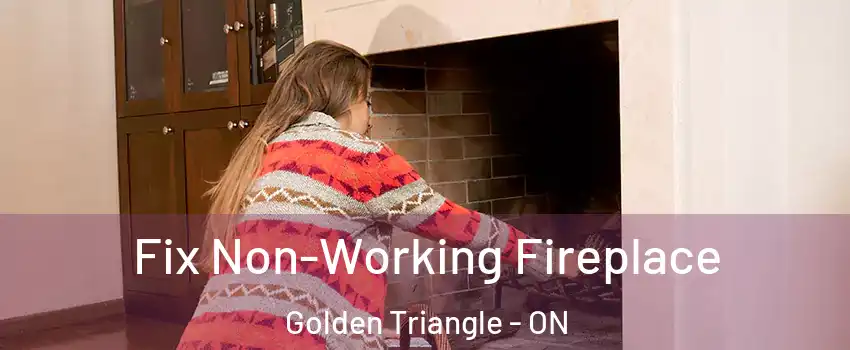  Fix Non-Working Fireplace Golden Triangle - ON