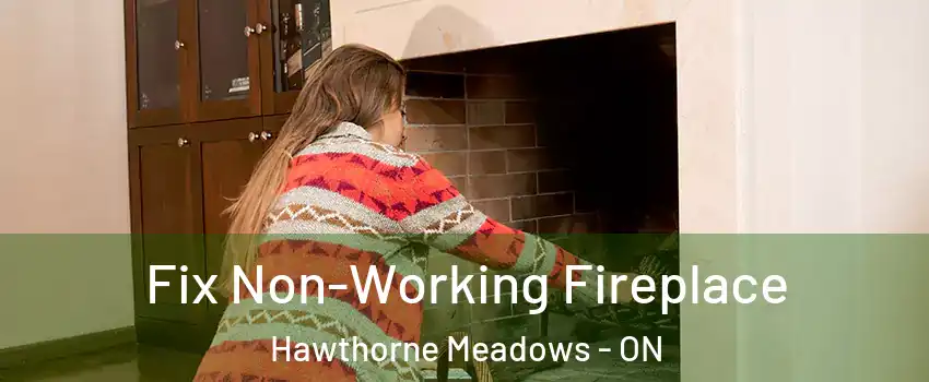  Fix Non-Working Fireplace Hawthorne Meadows - ON