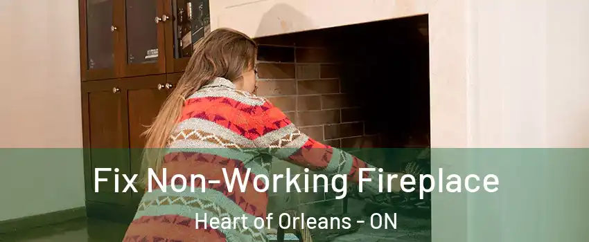  Fix Non-Working Fireplace Heart of Orleans - ON