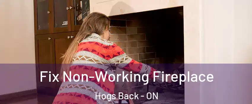  Fix Non-Working Fireplace Hogs Back - ON