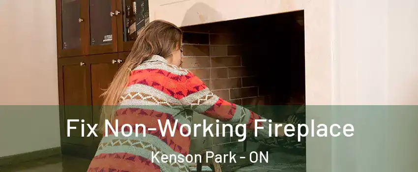  Fix Non-Working Fireplace Kenson Park - ON