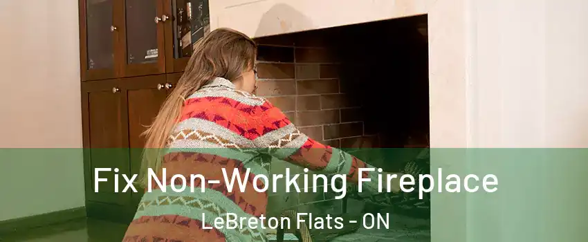  Fix Non-Working Fireplace LeBreton Flats - ON