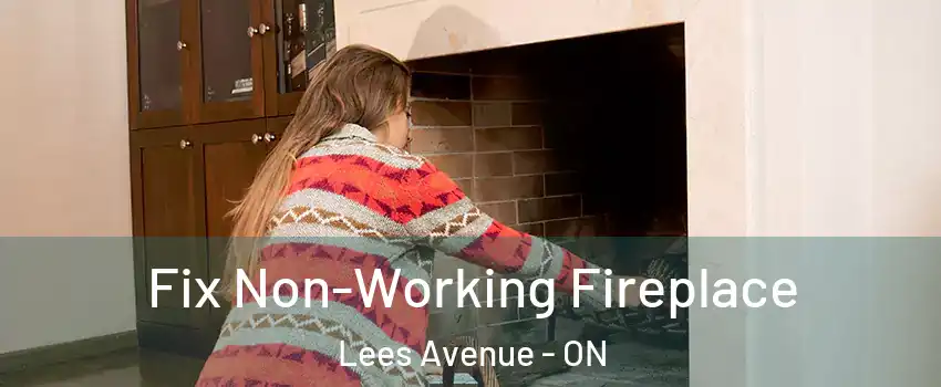  Fix Non-Working Fireplace Lees Avenue - ON