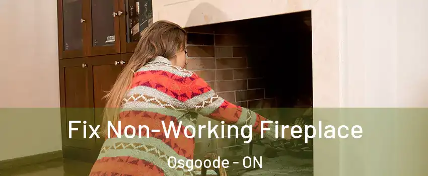  Fix Non-Working Fireplace Osgoode - ON