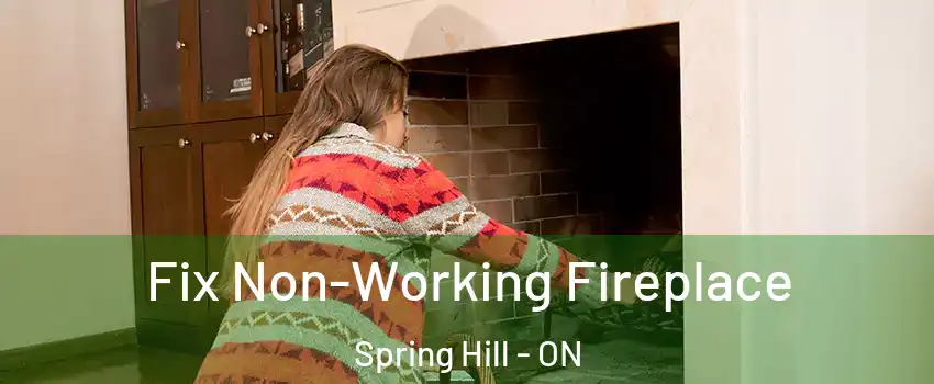  Fix Non-Working Fireplace Spring Hill - ON