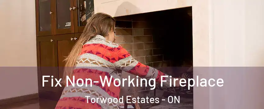  Fix Non-Working Fireplace Torwood Estates - ON